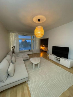 Arctic star home